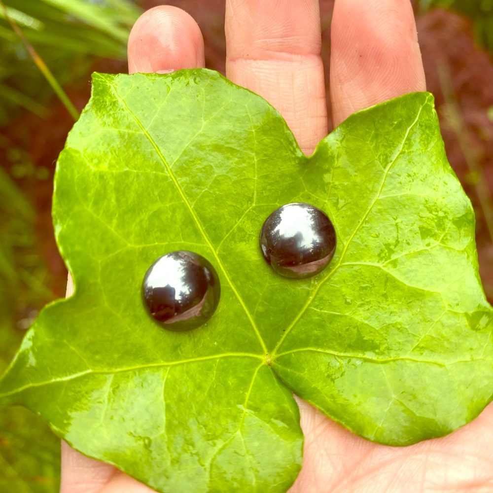 Lot of 3 pair Magnetic stud earrings
